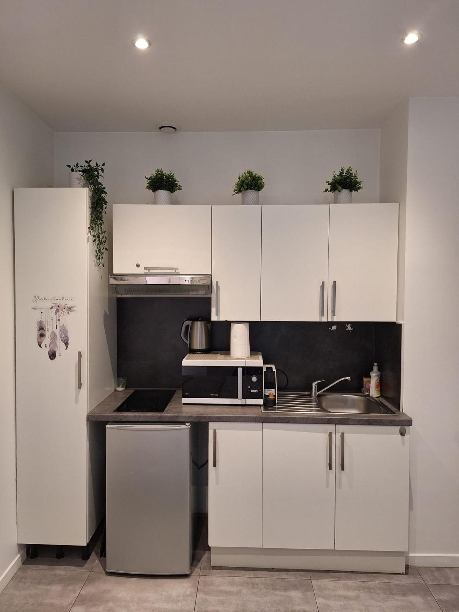 Beautiful Apartment With Terrace Centre Nice Eksteriør billede